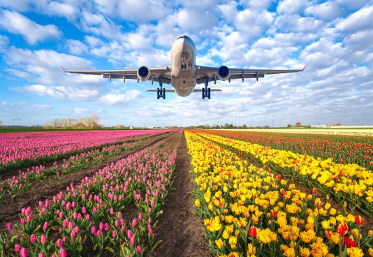 April-2025-Flowers-and-plane